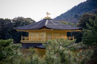Japan 2009